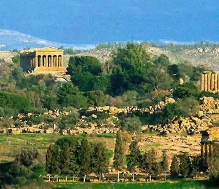 Athena Comfort 